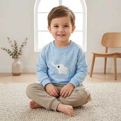 2025 Korean Style Elephant Print Boys Sweatshirt Set