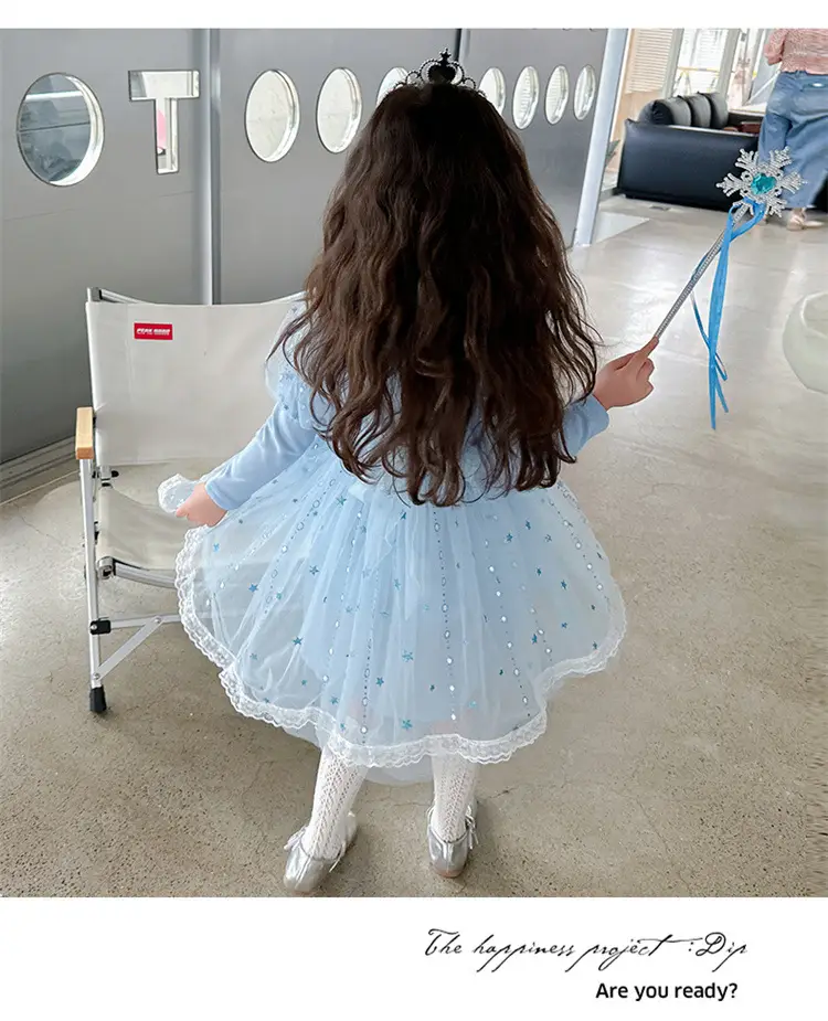 2025 New Autum Girls' Dress Frozen Elsa Princess Dress Elsa Style Mesh Tutu Skirt — feature 15