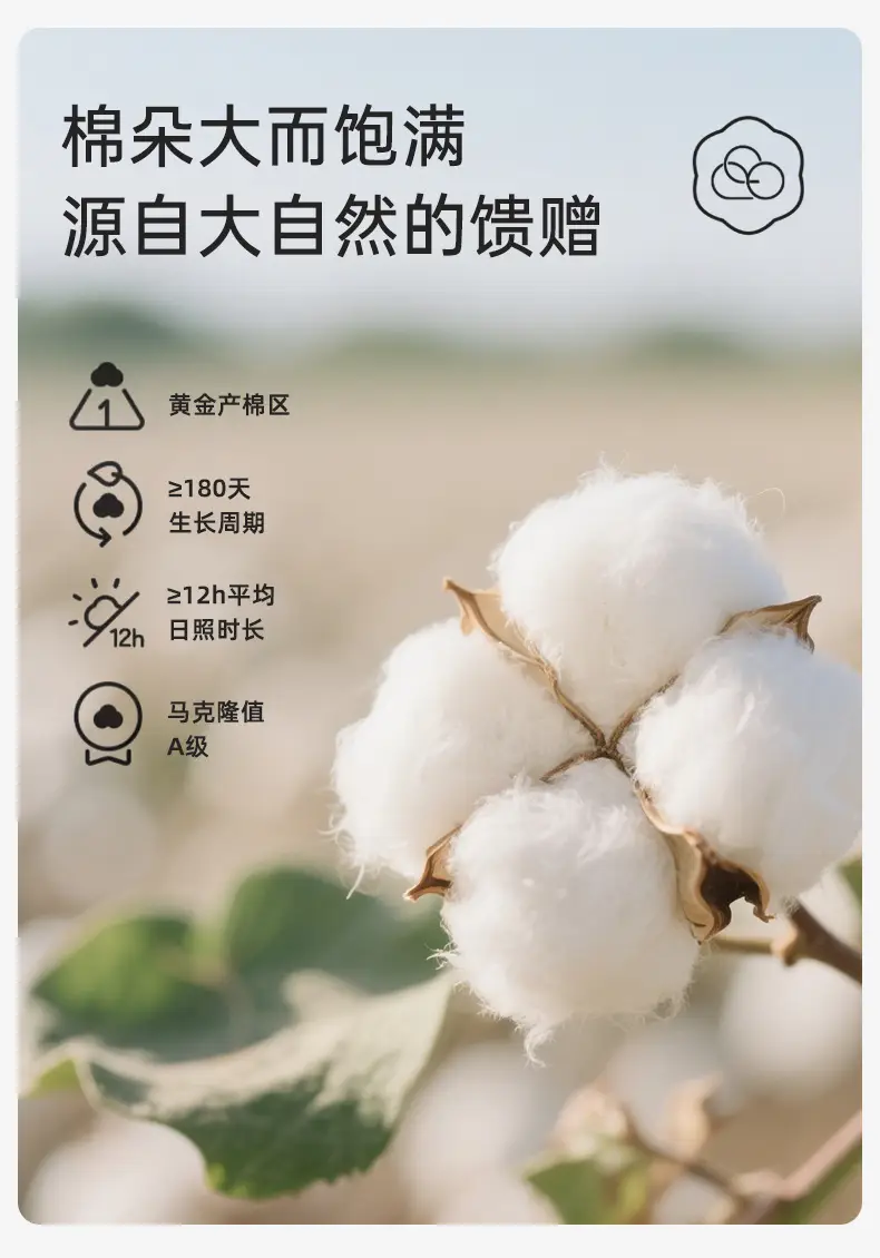 Baby White Cotton Pullover Top for Boys — feature 5