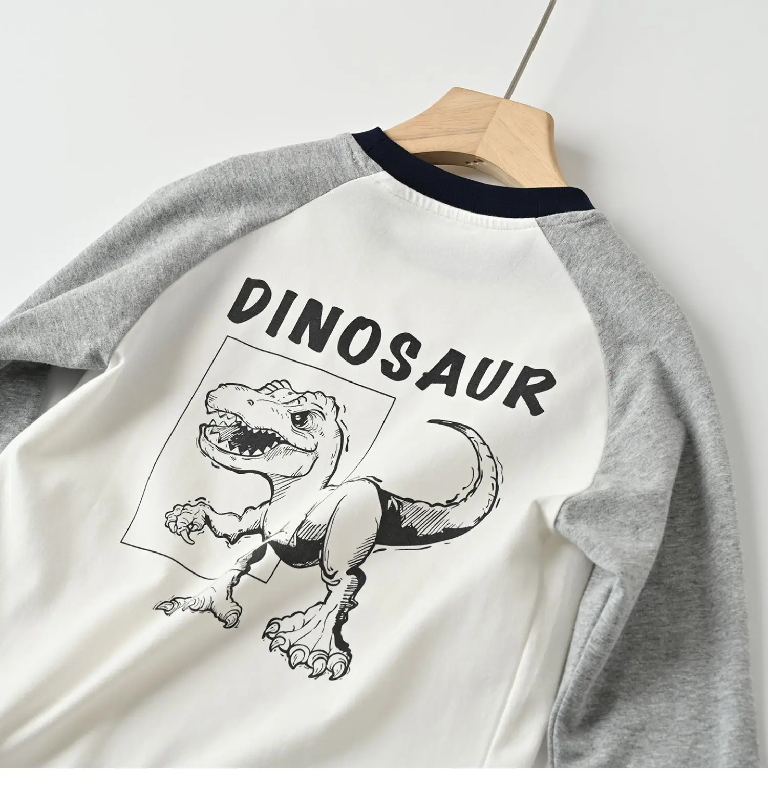 Children's Cartoon Dinosaur Raglan Sleeve T-Shirt White Black Green — feature 45