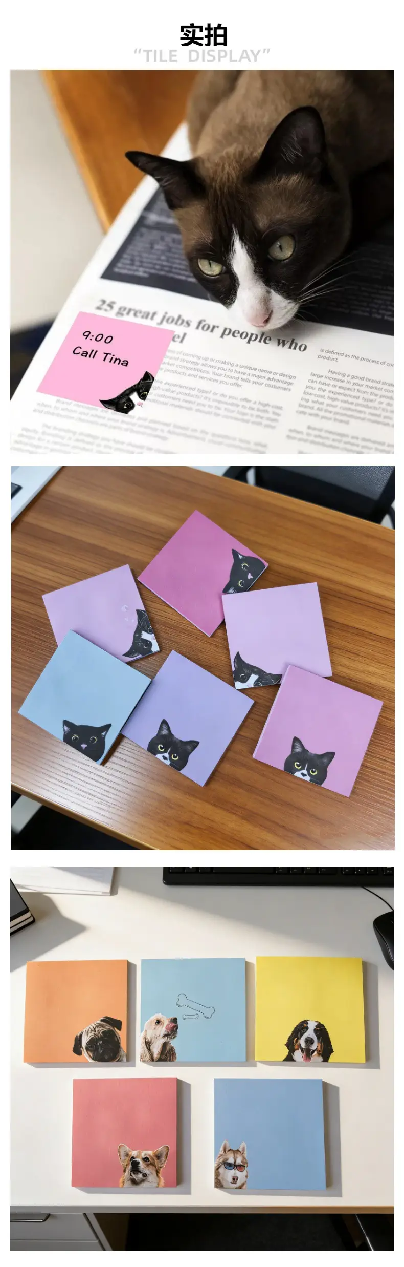 Cross-Border Colorful Cat Sticky Notes with Strong Adhesive, Solid Color Sticky Notes, Creative Cute Small Notebooks for Students to Use — feature 18