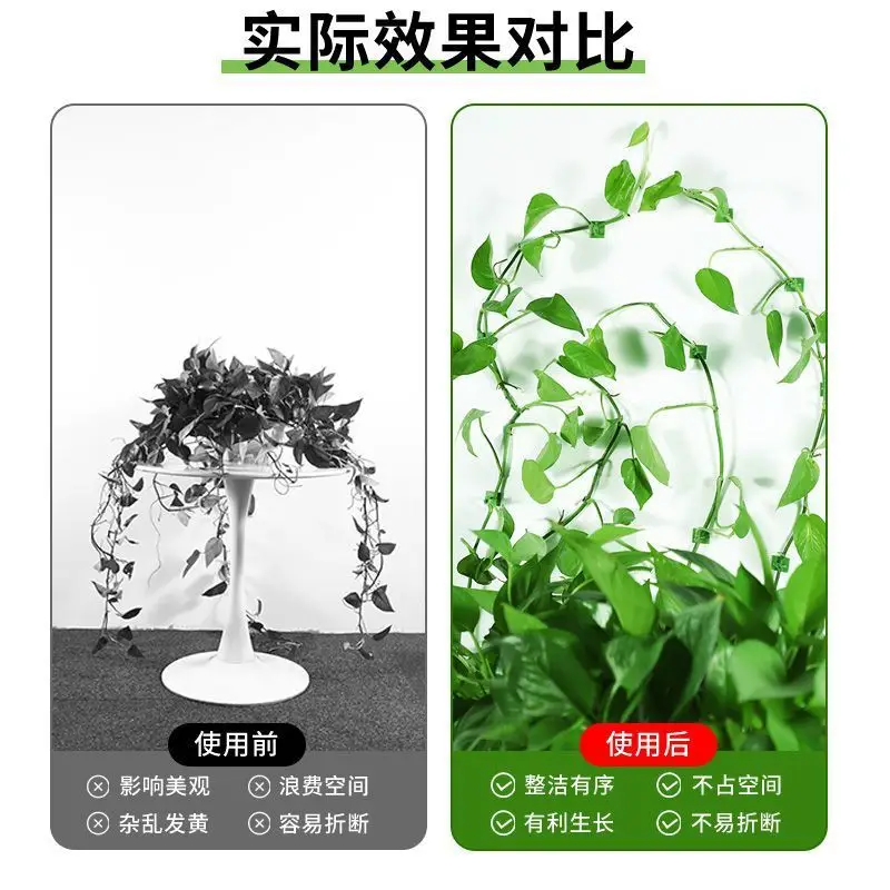 Plant Climbing Tool for Green Plants, Wall Climbing Fixer, Green Plant Climbing Clip, Wall Hook, Sticky Climbing Vine Rod