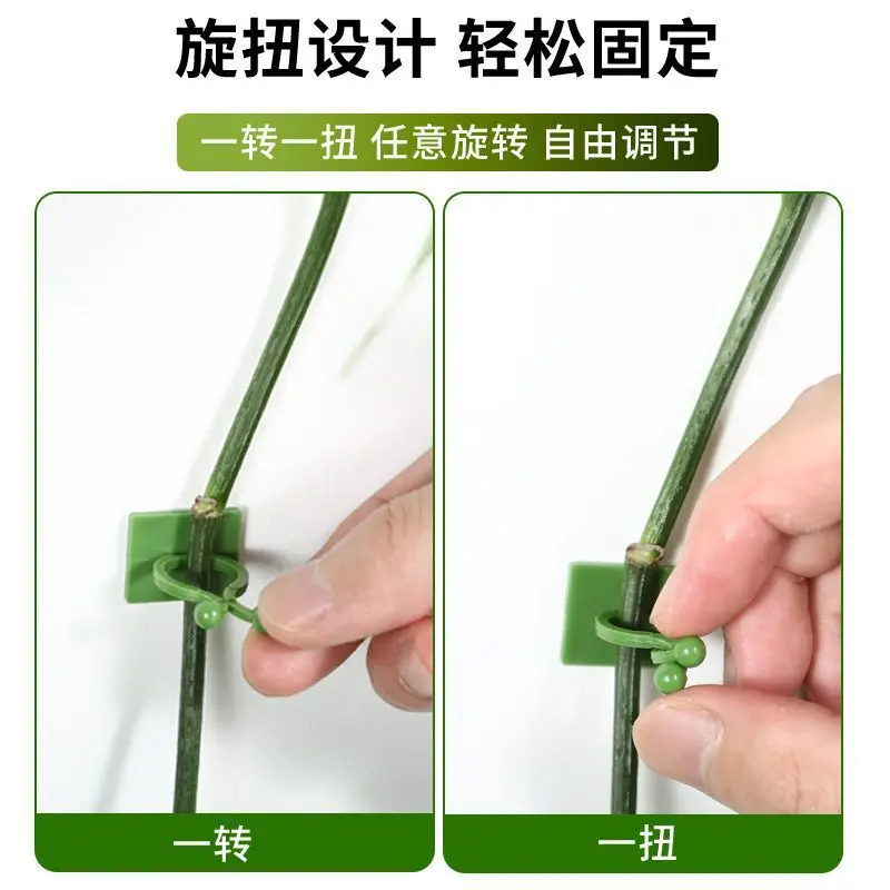 Plant Climbing Tool for Green Plants, Wall Climbing Fixer, Green Plant Climbing Clip, Wall Hook, Sticky Climbing Vine Rod