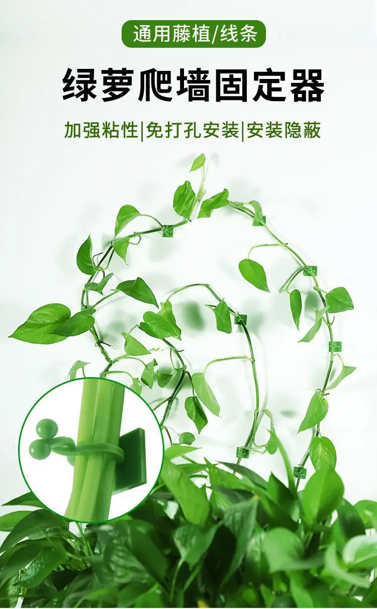 Plant Climbing Tool for Green Plants, Wall Climbing Fixer, Green Plant Climbing Clip, Wall Hook, Sticky Climbing Vine Rod — feature 3