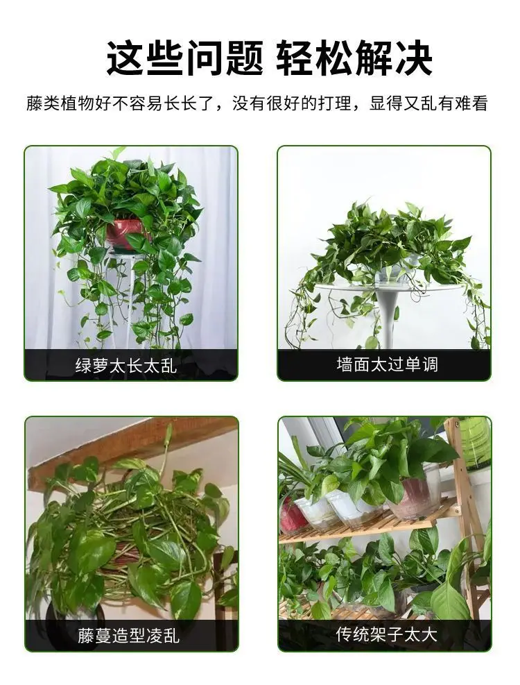 Plant Climbing Tool for Green Plants, Wall Climbing Fixer, Green Plant Climbing Clip, Wall Hook, Sticky Climbing Vine Rod — feature 5