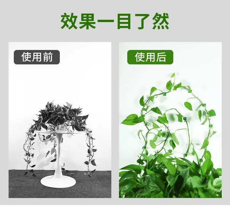 Plant Climbing Tool for Green Plants, Wall Climbing Fixer, Green Plant Climbing Clip, Wall Hook, Sticky Climbing Vine Rod — feature 6