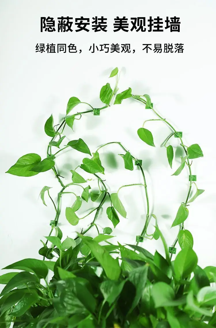 Plant Climbing Tool for Green Plants, Wall Climbing Fixer, Green Plant Climbing Clip, Wall Hook, Sticky Climbing Vine Rod — feature 9