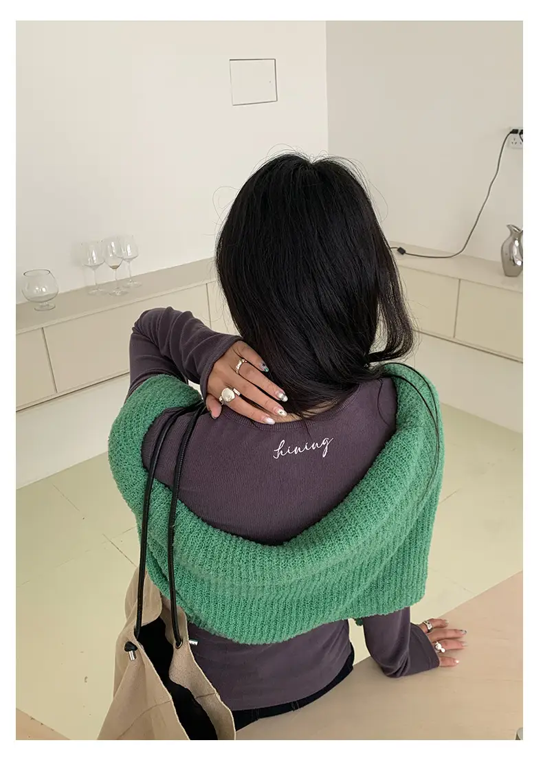Huang Zheng Basic Embroidered Brushed T-Shirt for Women, Winter Korean Style, Elastic Slim Fit, Slimming Inner Layer Base Shirt 530867 — feature 27