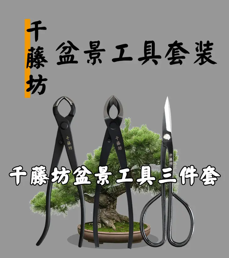 Qiantengfang Composite Steel 210mm Bonsai Tool Set Ball Pliers Diagonal Cutter Rod Cutting Pliers Wire Cutting Leaf Bud Shears — feature 1