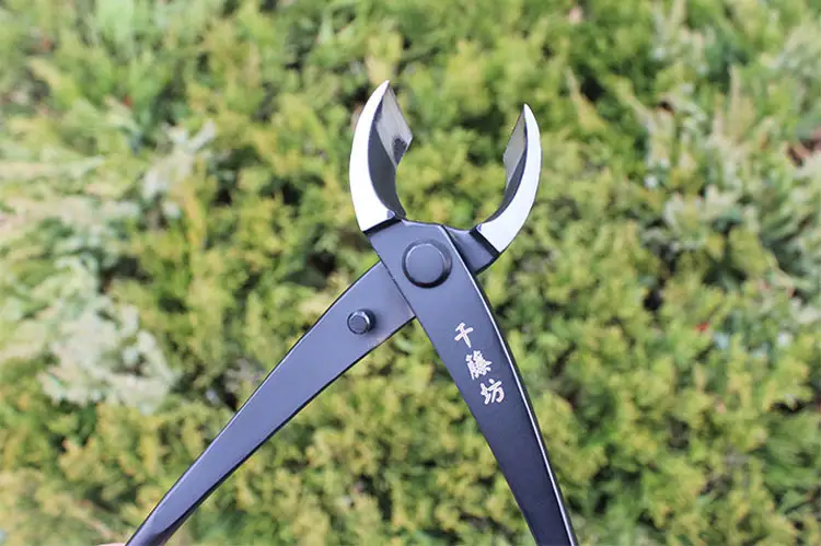 Qiantengfang Composite Steel 210mm Bonsai Tool Set Ball Pliers Diagonal Cutter Rod Cutting Pliers Wire Cutting Leaf Bud Shears — feature 10