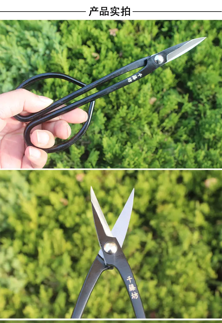Qiantengfang Composite Steel 210mm Bonsai Tool Set Ball Pliers Diagonal Cutter Rod Cutting Pliers Wire Cutting Leaf Bud Shears — feature 15