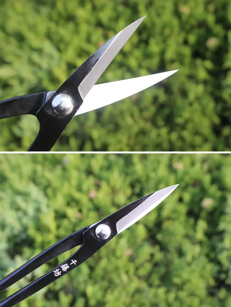 Qiantengfang Composite Steel 210mm Bonsai Tool Set Ball Pliers Diagonal Cutter Rod Cutting Pliers Wire Cutting Leaf Bud Shears — feature 16