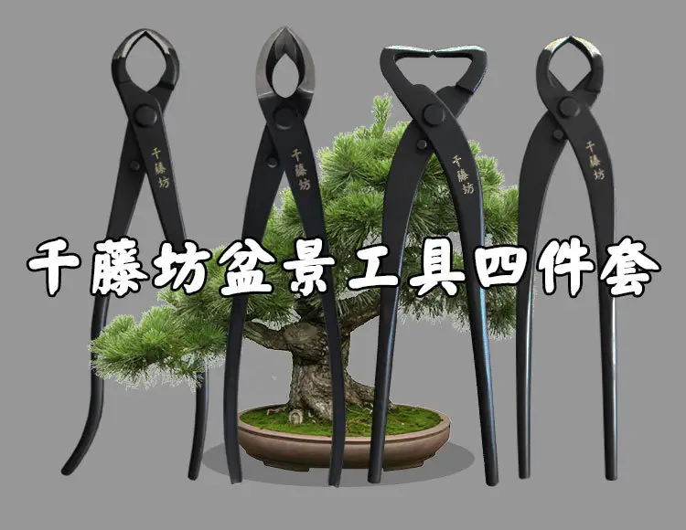 Qiantengfang Composite Steel 210mm Bonsai Tool Set Ball Pliers Diagonal Cutter Rod Cutting Pliers Wire Cutting Leaf Bud Shears — feature 2