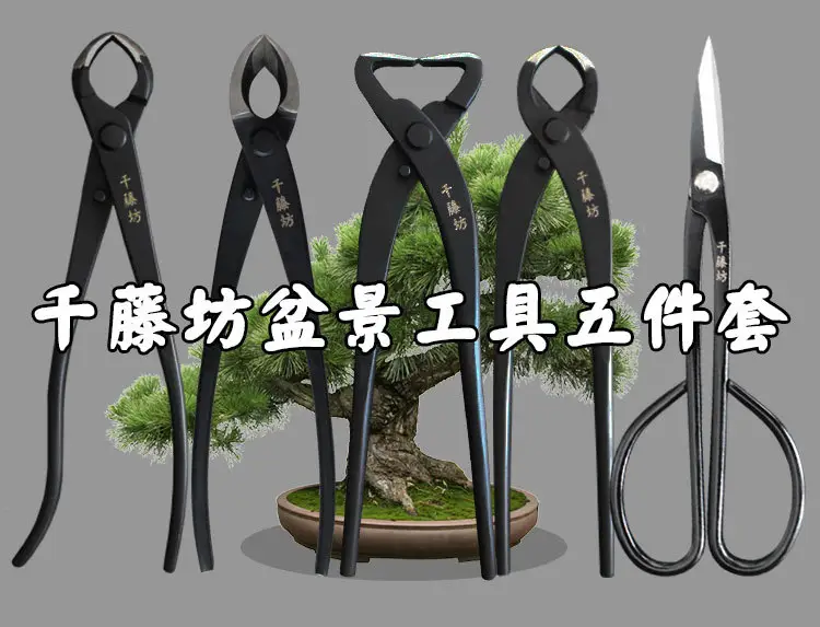 Qiantengfang Composite Steel 210mm Bonsai Tool Set Ball Pliers Diagonal Cutter Rod Cutting Pliers Wire Cutting Leaf Bud Shears — feature 3