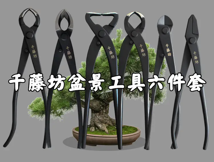 Qiantengfang Composite Steel 210mm Bonsai Tool Set Ball Pliers Diagonal Cutter Rod Cutting Pliers Wire Cutting Leaf Bud Shears — feature 4