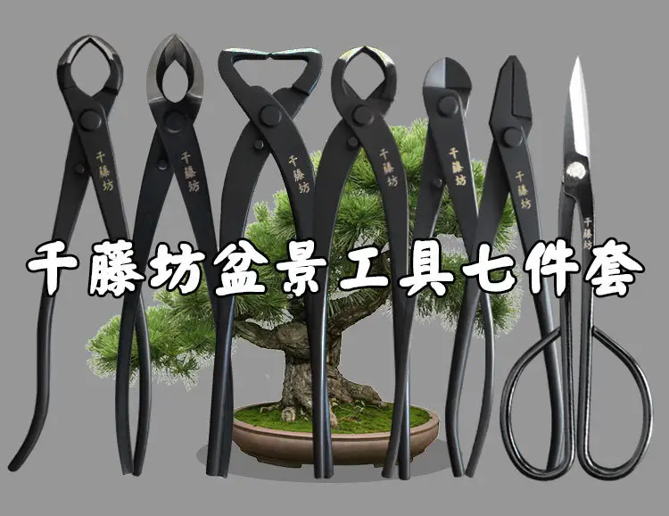 Qiantengfang Composite Steel 210mm Bonsai Tool Set Ball Pliers Diagonal Cutter Rod Cutting Pliers Wire Cutting Leaf Bud Shears — feature 5