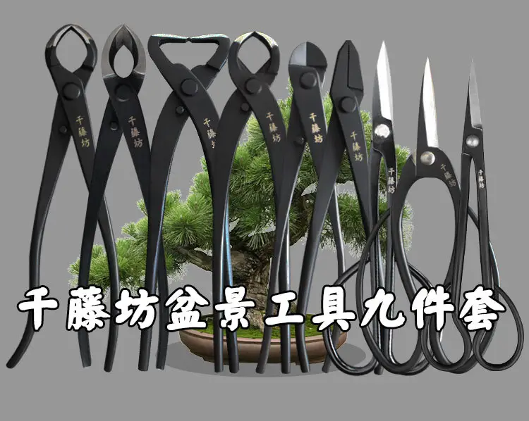 Qiantengfang Composite Steel 210mm Bonsai Tool Set Ball Pliers Diagonal Cutter Rod Cutting Pliers Wire Cutting Leaf Bud Shears — feature 6