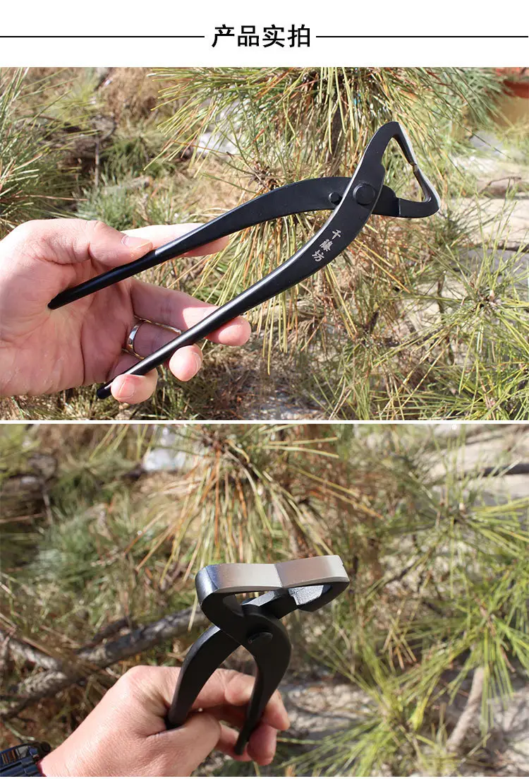 Qiantengfang Composite Steel 210mm Bonsai Tool Set Ball Pliers Diagonal Cutter Rod Cutting Pliers Wire Cutting Leaf Bud Shears — feature 7