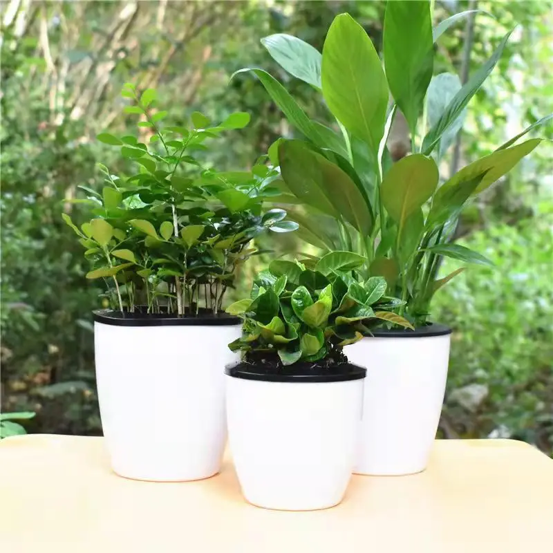 Self-Watering Flower Pot for Lazy People, Automatic Water-Absorbing Pot for Green Plants, Hydroponic Plant Pot, No Need to Water, Plastic Imitation Ceramic Self-Absorbing Pot — feature 10