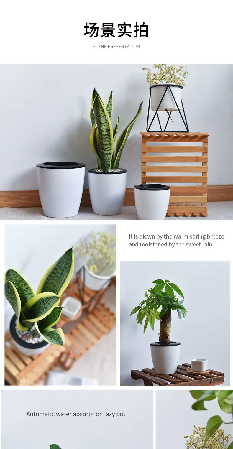 Self-Watering Flower Pot for Lazy People, Automatic Water-Absorbing Pot for Green Plants, Hydroponic Plant Pot, No Need to Water, Plastic Imitation Ceramic Self-Absorbing Pot — feature 7
