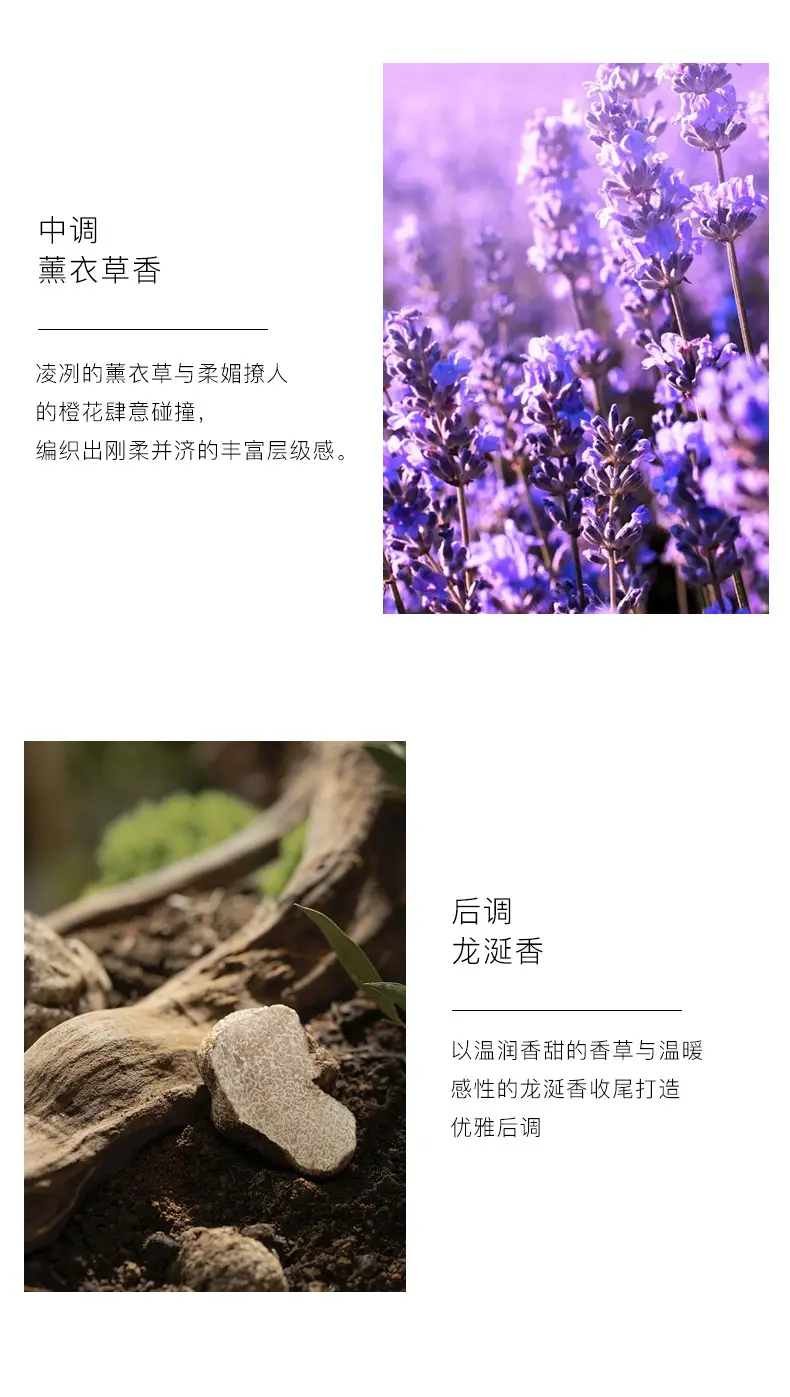 Ys Freedom Perfume for Women, Long-Lasting Fragrance 30ml, Perfume Gift for Girlfriend or Best Friend, Birthday Gift Wholesale — feature 8
