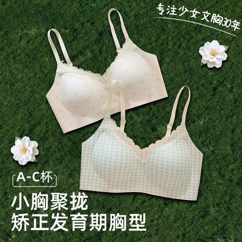 Girls' Bras for the Developmental Period, High School and College Students' Seamless Underwear, Small Chest Gathering, Comfortable, Wire-Free, Anti-Sagging Bra