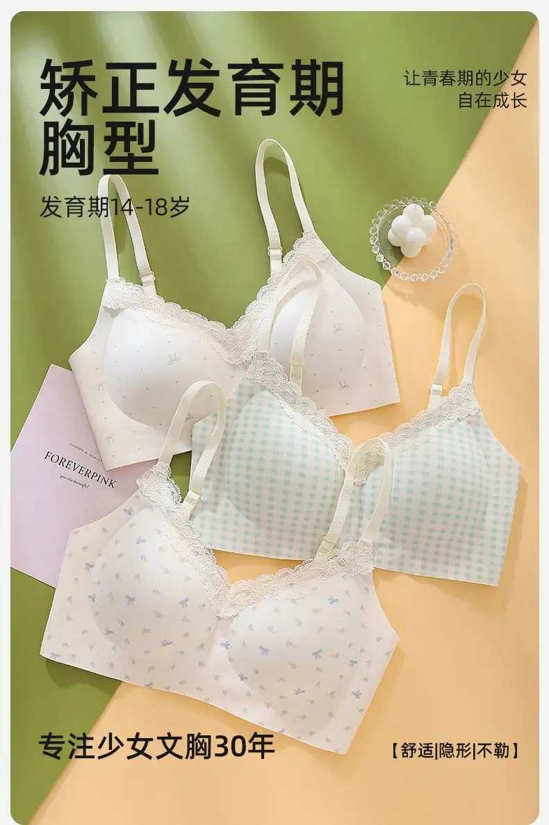 Girls' Bras for the Developmental Period, High School and College Students' Seamless Underwear, Small Chest Gathering, Comfortable, Wire-Free, Anti-Sagging Bra — feature 1