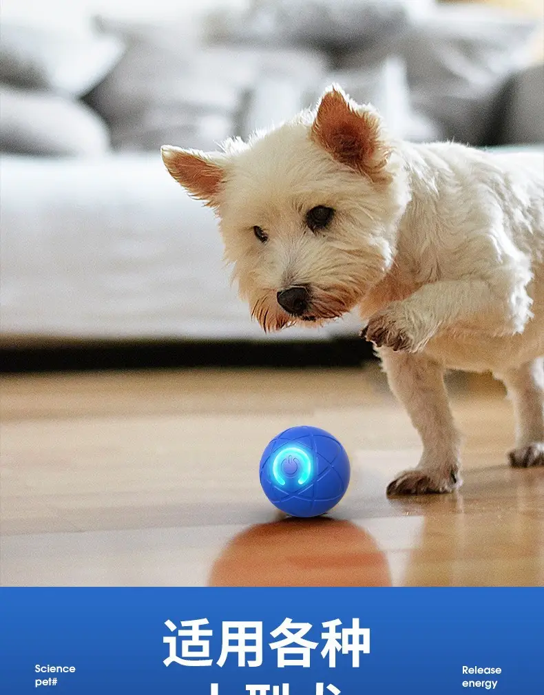 Cross-Border Smart Dog Toy Ball, Gravity Jumping Ball, Electric Dog Ball, Pet Toy, Self-Entertainment Gadget, Cat and Dog Toy — feature 11