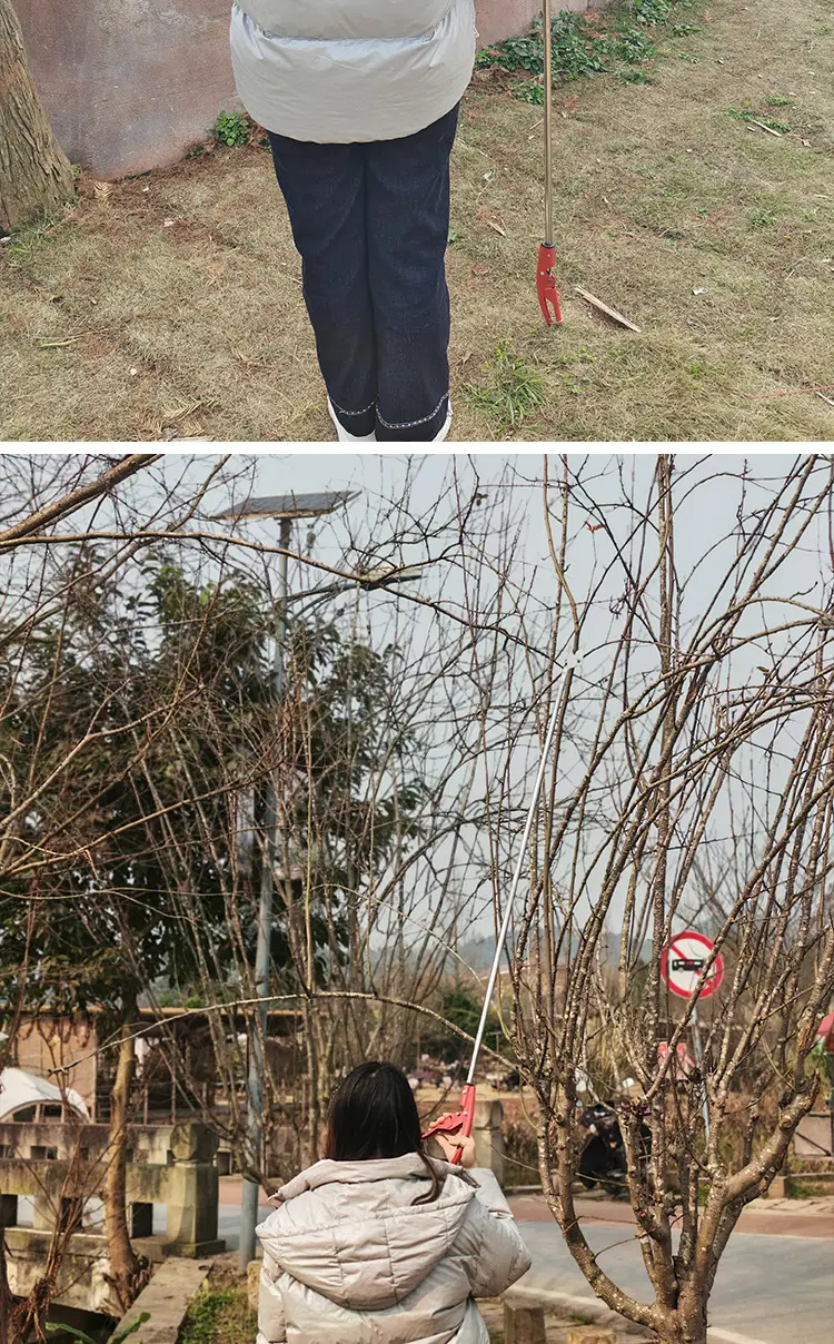 Stainless Steel Pruning Shears for High-Altitude Branch Trimming, Specialized Scissors for Landscaping, Gardens, and Fruit Tree Branches, High Branch Shears for Wholesale — feature 16