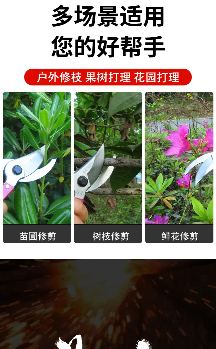Stainless Steel Pruning Shears for High-Altitude Branch Trimming, Specialized Scissors for Landscaping, Gardens, and Fruit Tree Branches, High Branch Shears for Wholesale — feature 6