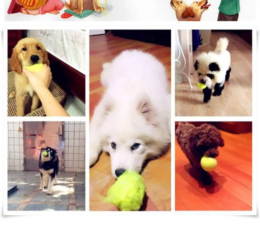 Dog Toy Ball Self-Entertainment Boredom-Relief Gadget for Pets Like Border Collies, Golden Retrievers, Corgis; Durable Chew Ball for Training and Teeth Cleaning; Rubber Tennis Ball — feature 7