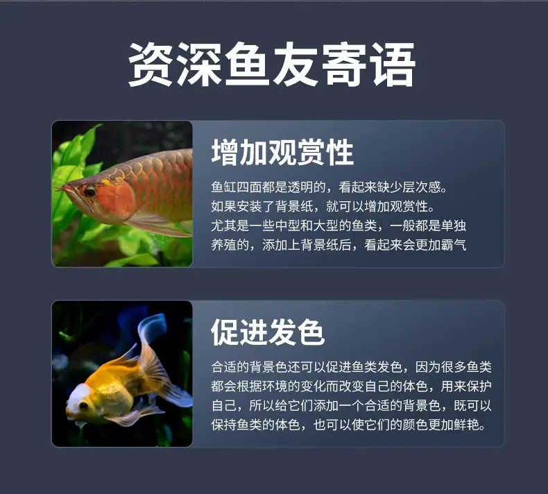 Wholesale Thickened Fish Tank Background Stickers Pure Black Electrostatic Light-Blocking Wallpaper for the Outside of the Tank Bottom Glass Film — feature 24