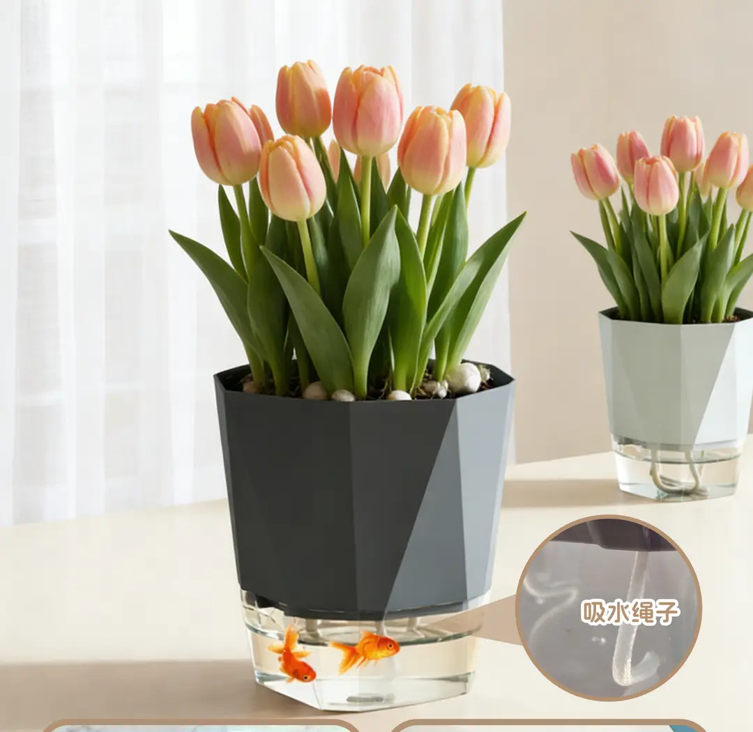 Self-Watering Flower Pot, Self-Absorbing Water, Trendy New Model for Lazy People, Plastic Gallon Pot for Green Plants, Roses, Orchids, and Succulents for Balcony — feature 13