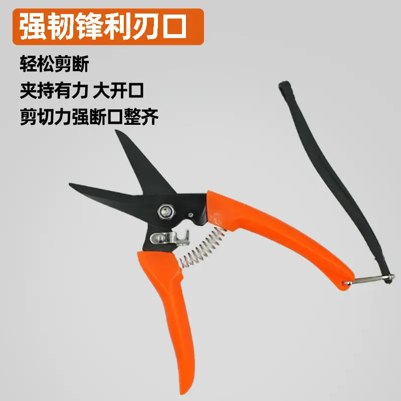 Best-Selling Stainless Steel Sheep Hoof Scissors and Gardening Shears in Southeast Asia. Wholesale Garden Tools, Branch Cutters, Pruning Shears