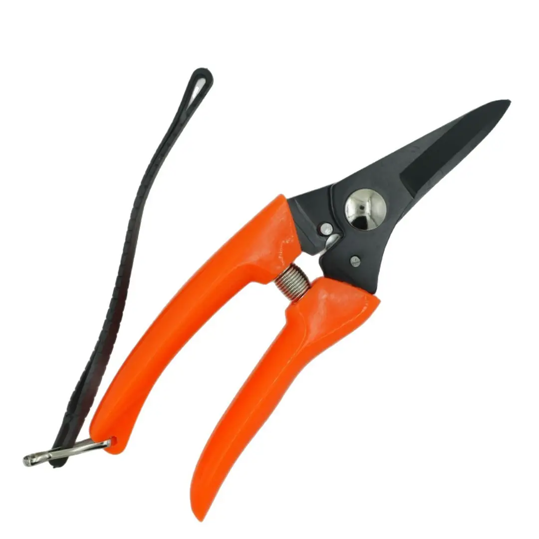 Best-Selling Stainless Steel Sheep Hoof Scissors and Gardening Shears in Southeast Asia. Wholesale Garden Tools, Branch Cutters, Pruning Shears