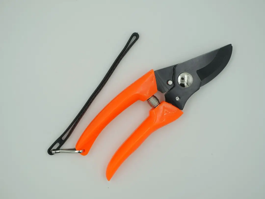 Best-Selling Stainless Steel Sheep Hoof Scissors and Gardening Shears in Southeast Asia. Wholesale Garden Tools, Branch Cutters, Pruning Shears