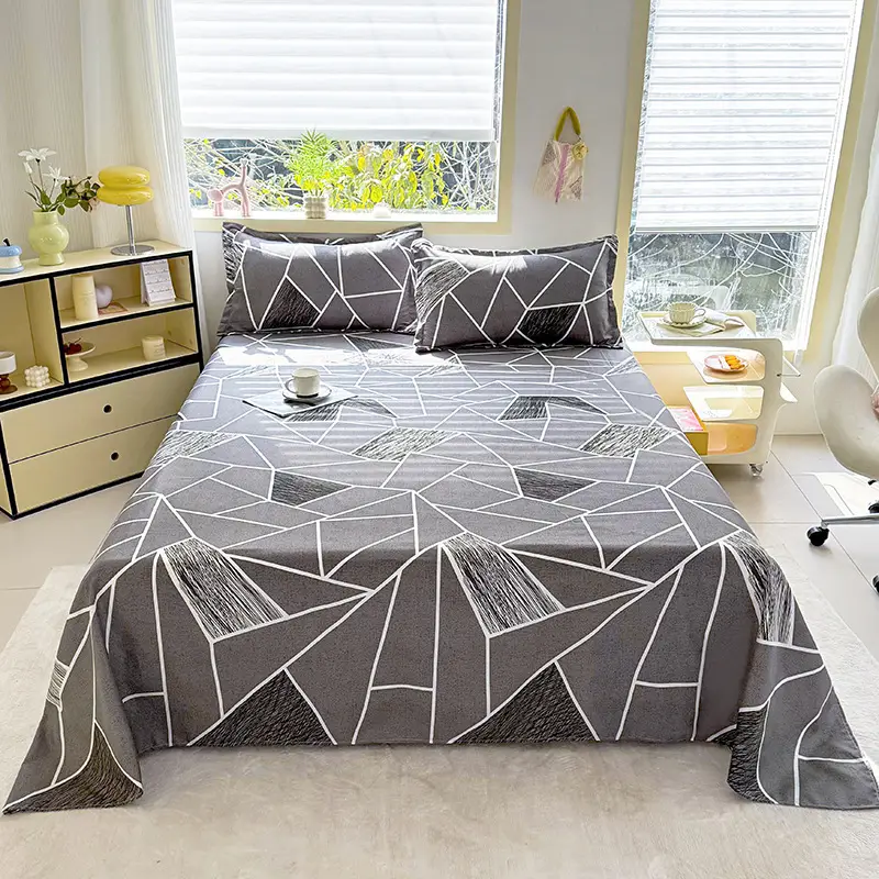 Cross-Border Trade Thickened Aloe Vera Cotton Bed Sheet Single Piece Brushed Fabric Bed Sheet for Student Dormitory and Home Use Double Bed Cover