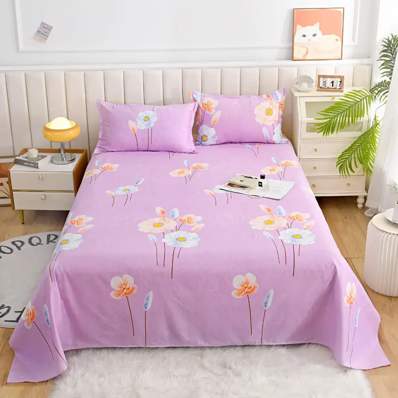 Cross-Border Trade Thickened Aloe Vera Cotton Bed Sheet Single Piece Brushed Fabric Bed Sheet for Student Dormitory and Home Use Double Bed Cover