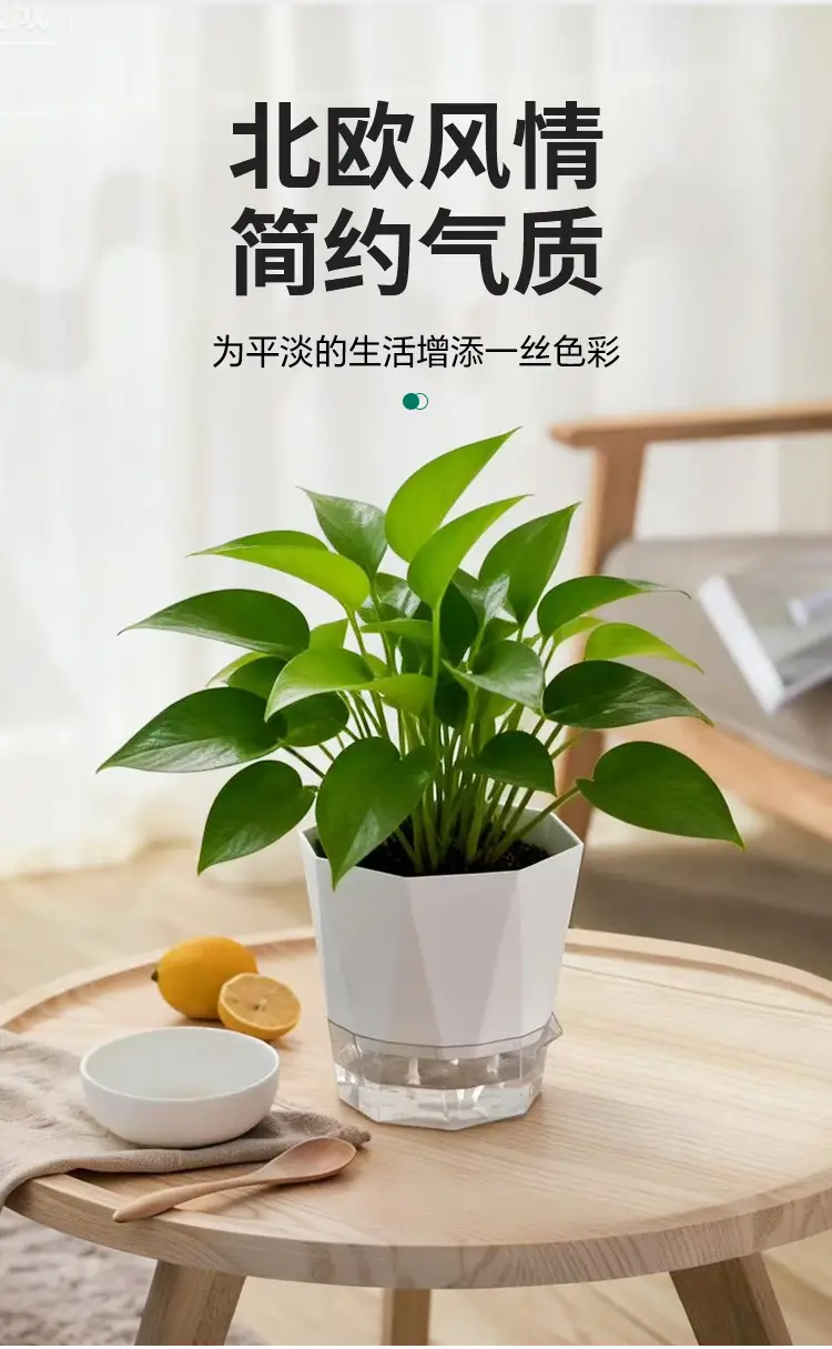 New Self-Watering Flower Pot, Self-Absorbing Water, Trendy Plastic Gallon Pot for Lazy Gardeners, Suitable for Green Plants, Roses, Orchids, and Succulents on the Balcony — feature 4
