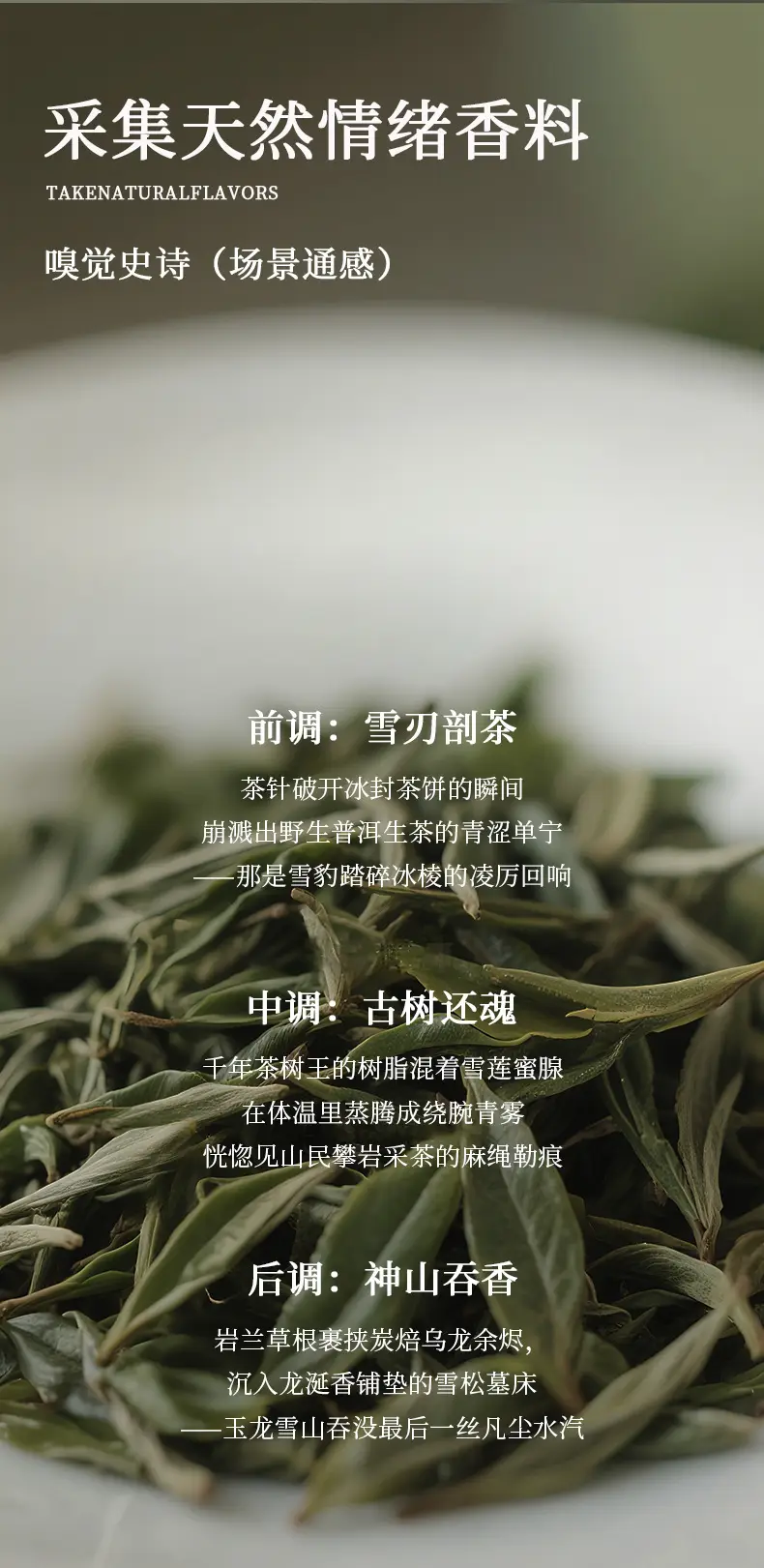 Jeanmiss Jade Dragon Tea Perfume Foreign Trade Cross-Border Men's Perfume Royal Agarwood Central and Southeast Asia Vietnam Perfume Factory — feature 2