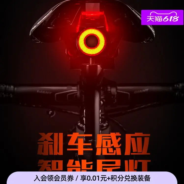 Rock Brothers Bicycle Tail Light Intelligent Sensor Brake Light Cycling Equipment