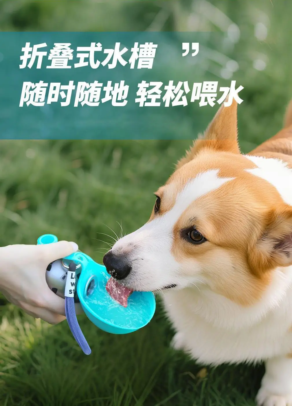 Cross-Border Pet Supplies Stainless Steel Water Bottle Round Travel Cup Outdoor Foldable Portable Pet Water Dispenser for Cats and Dogs — feature 15