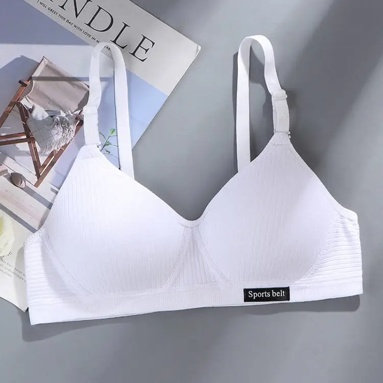 Comfortable Seamless Underwear for Girls in Their Developmental Stage, High School Students, Small Busts, Push-Up, No Underwire Bra, Thin Style