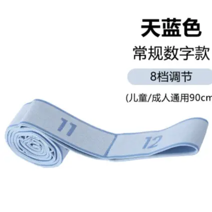 Digital Segmented Yoga Resistance Bands, Resistance Bands for Strength Training, Fitness Back Exercises, Pilates, Dance, and Body Shaping