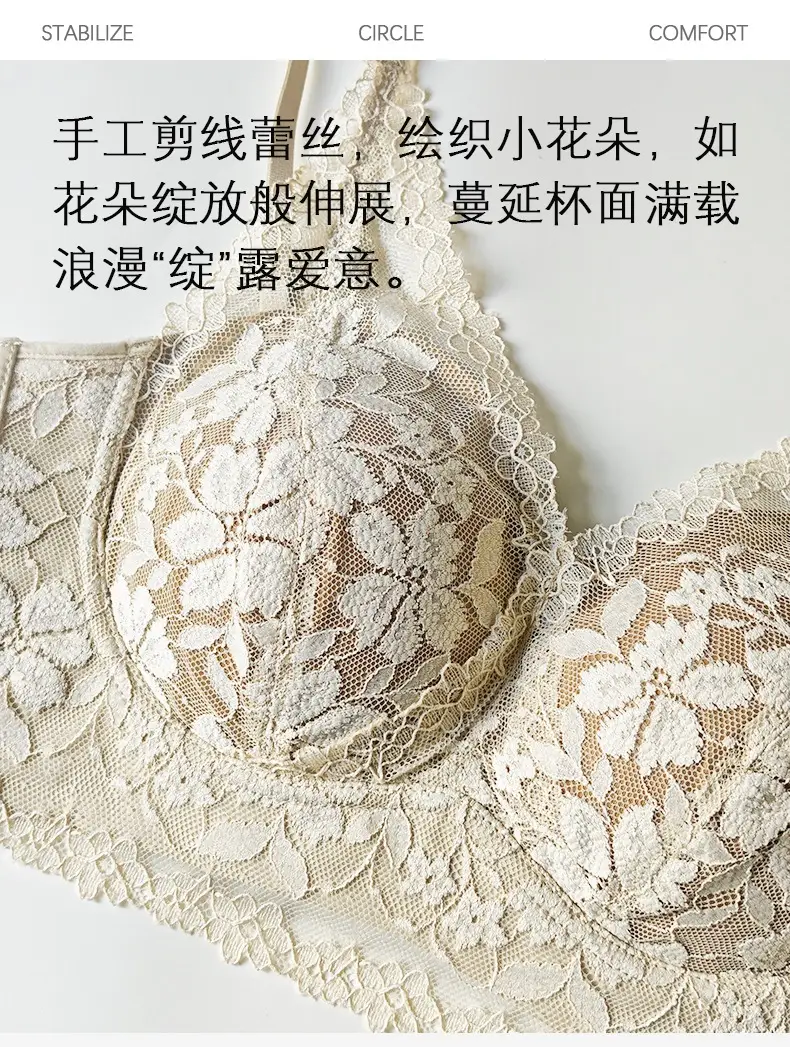 French-Style Lace Bra for Women with Small Busts, Push-Up, Wireless, Side Breast Support, Anti-Sagging, New Sexy Pure Desire Lingerie — feature 2