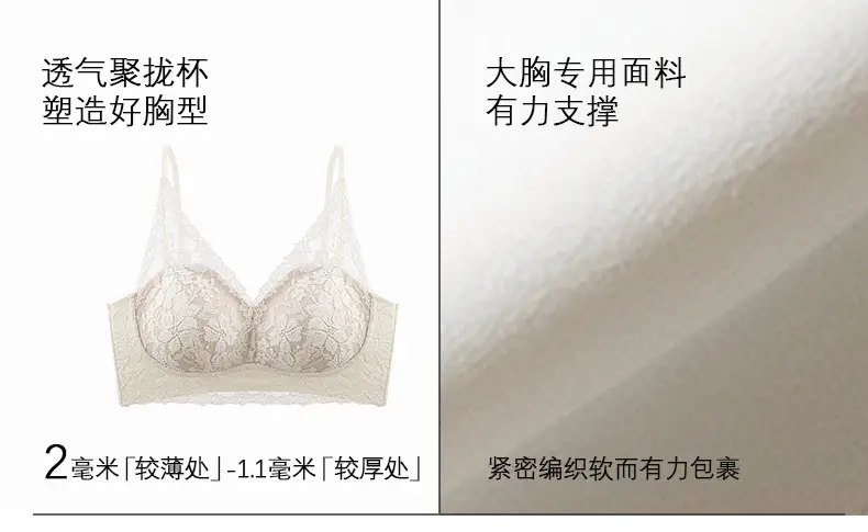 French-Style Lace Bra for Women with Small Busts, Push-Up, Wireless, Side Breast Support, Anti-Sagging, New Sexy Pure Desire Lingerie — feature 7