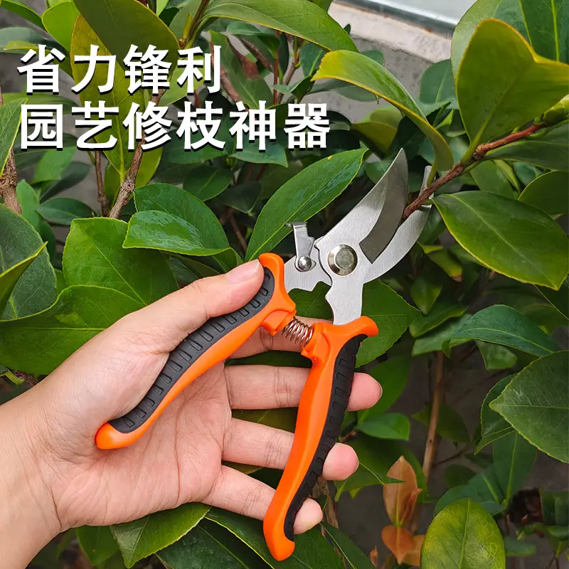 20-piece complete garden tool set, including pruning shears, fruit picking tool, pole saw/lopper, for household and yard trimming