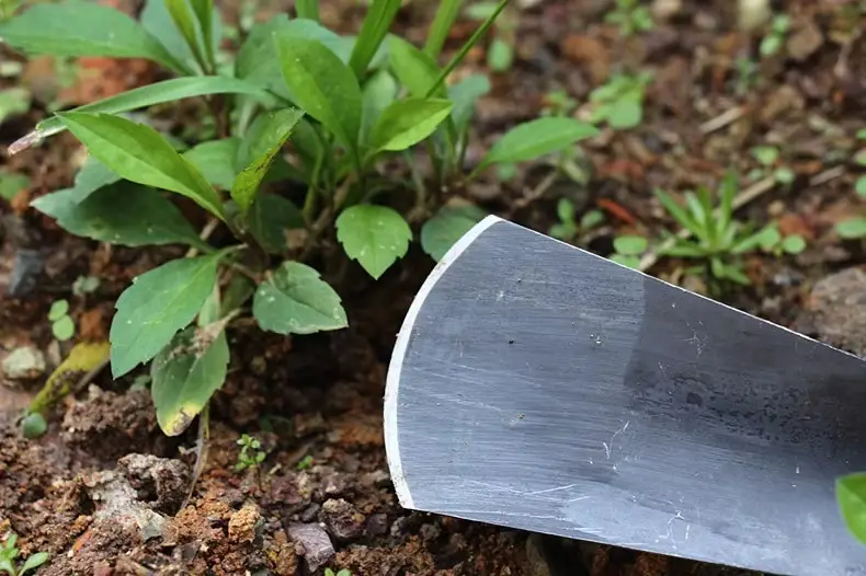 Small Manganese Steel Shovel for Planting Vegetables in the Garden, Digging Soil, Planting Flowers, Gardening Tools for Digging Wild Vegetables, Weeding, and Home Gardening — feature 13