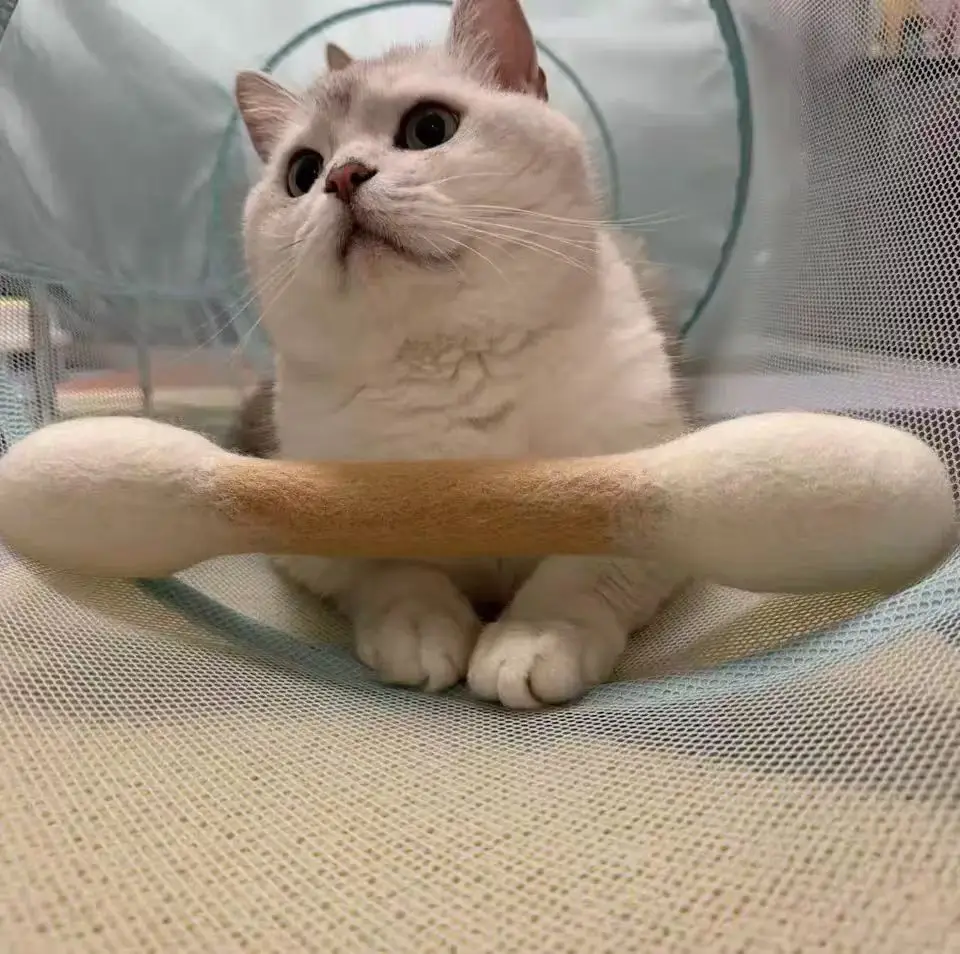 Cat Toy Made of Pure Wool Felt, Large Cotton Swab Teaser Stick, Teeth Cleaning and Chewing Toy, Self-Entertainment and Boredom Relief, Catnip Sniffing Pet Toy — feature 6