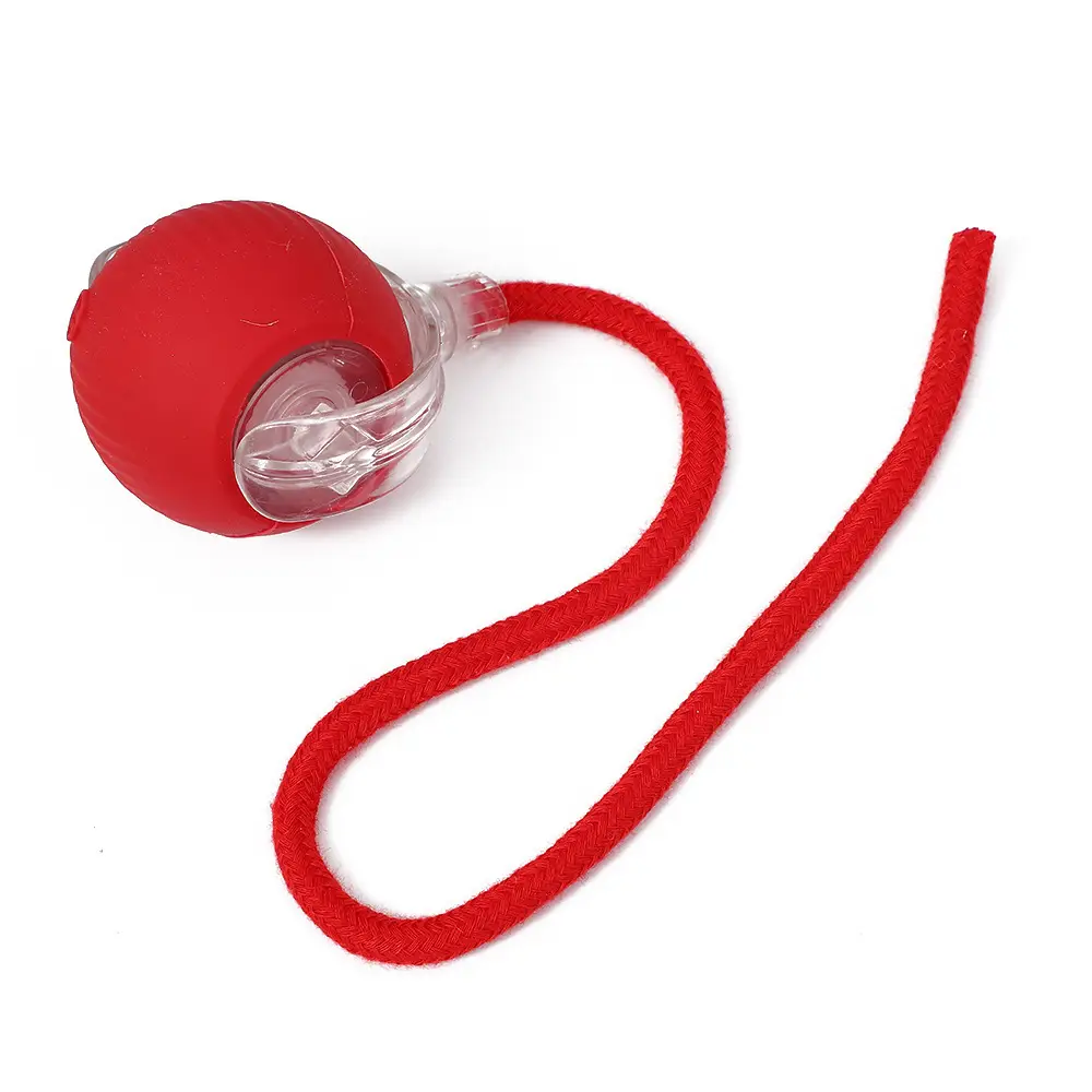 Cross-Border Pet Toy Ball, Cat Ball, Dog and Cat Self-Entertainment Gadget, Pet Toy, Pet Supplies, Cat Toy